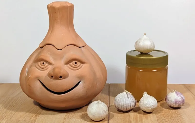 Fermentierter Knoblauch: einfach, lecker, gesund