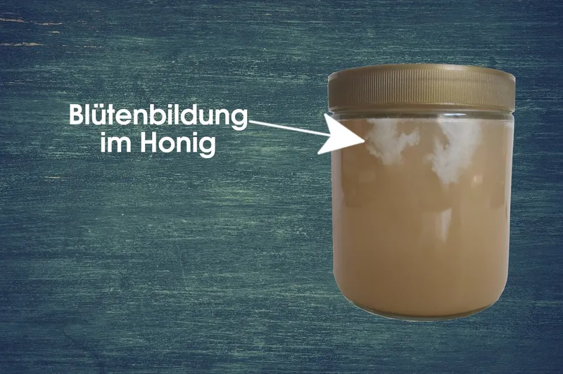 Blütenbildung im Honig