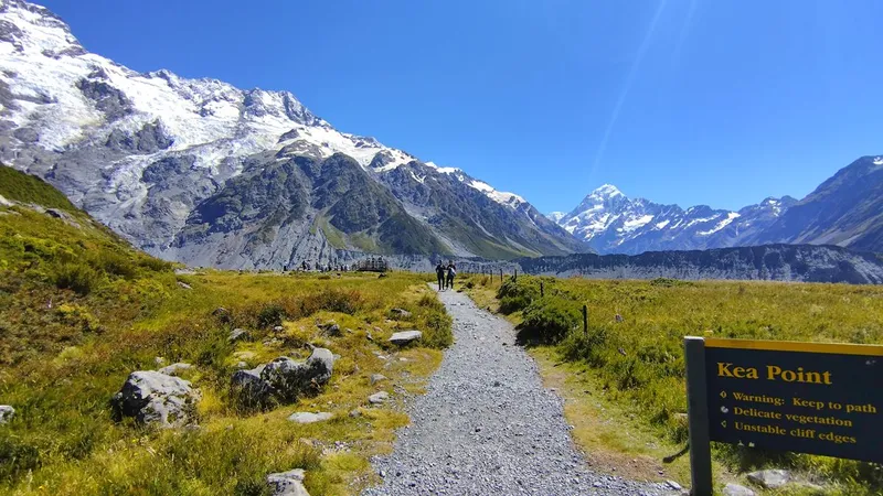 Unsere Top 13 Highlights der Südinsel in Neuseeland & 4 Sehenswürdigkeiten, die Ihr auslassen könnt