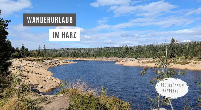 Auf Stempeljagd im Harz: Die schönsten Wanderwege für euren Urlaub