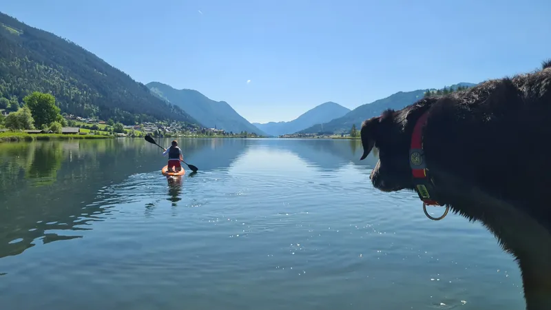 Seecamping Müller: Camping wie früher am Weissensee