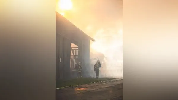 Knapp 1000 Ferkel sterben bei Großbrand nahe Zeulenroda
