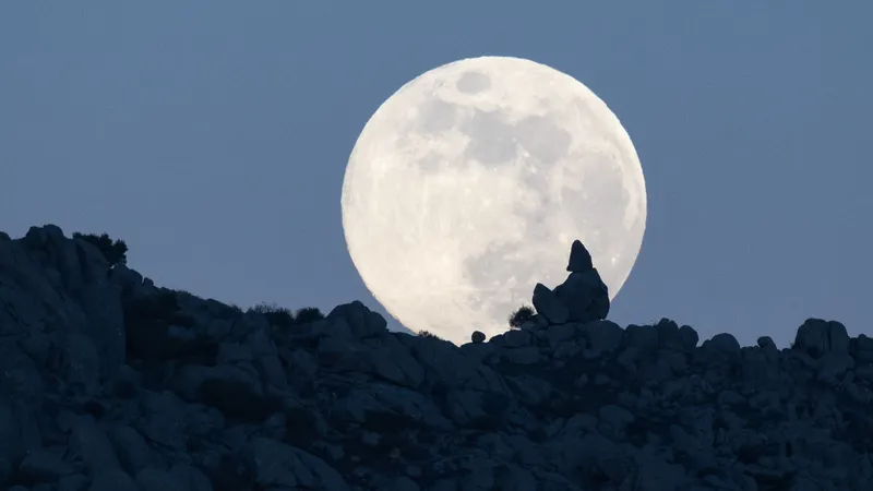 Wolfsmond am 3. Januar 2026 – was soll er bedeuten?