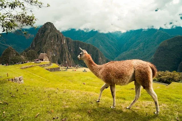 Peru bietet aktiven Reisenden mehr als nur eine Art von Abenteuer