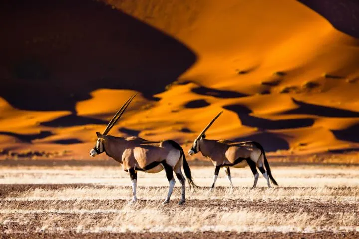 Namibias Kontraste entdecken mit einer Namibia Rundreise