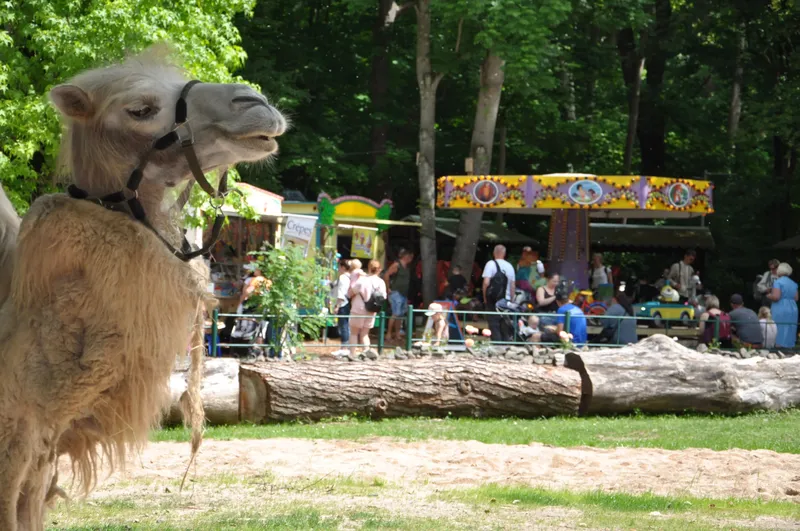 Gotha: Tierpark feiert 100-jähriges Jubiläum