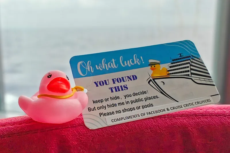 Cruising Ducks: Was es mit den Gummienten auf sich hat und warum manche Reedereien sie nicht mögen