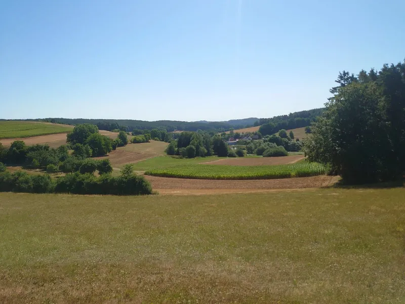 12tel-Blick: August 2026