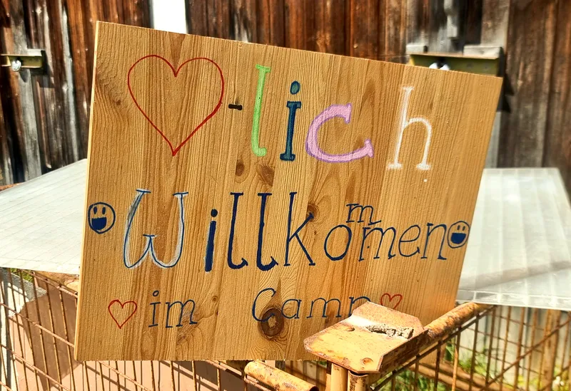Das wilde Camp - Wenn das Chamäleon zu Tisch kräht