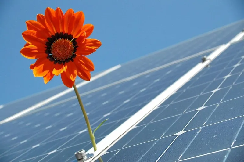 Solar drückt deutschen Strompreis: Hoch ist er trotzdem
