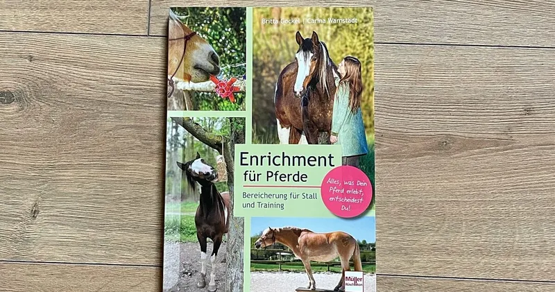 Enrichment für Pferde