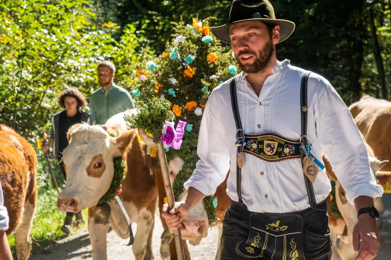 Almabtrieb 2026: Termine in Bayern und Österreich