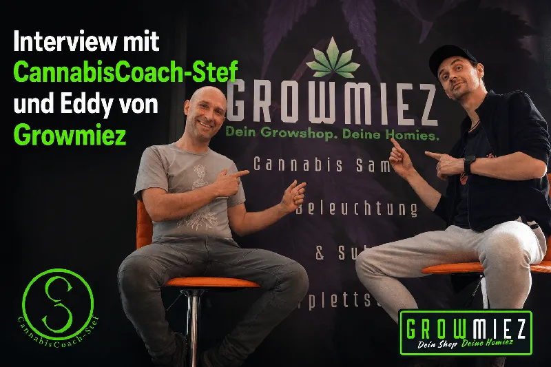 Interview mit CannabisCoach-Stef und Eddy, Gründer von Growmiez