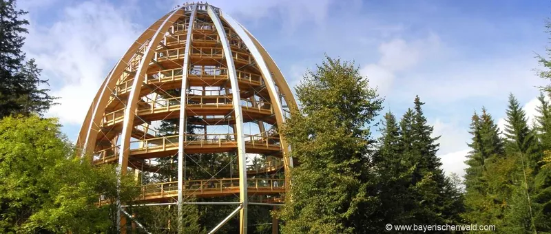 Bayerischer Wald Urlaubsparadies in Deutschland Erholungsurlaub ohne Stress