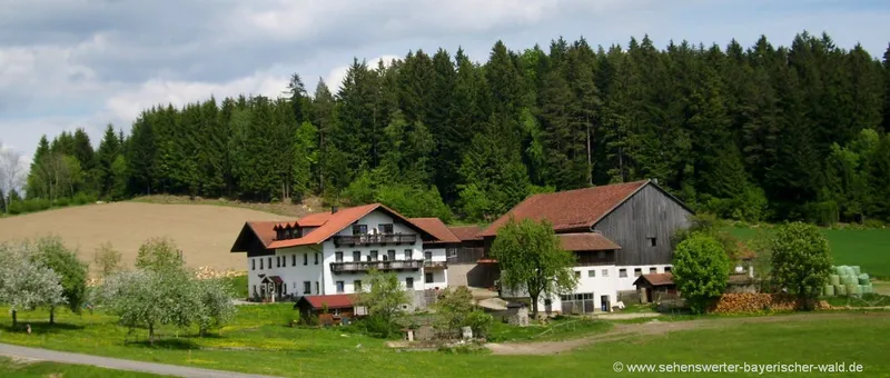 Übernachtung mit Frühstück am Bauernhof Hacker in Patersdorf Bayerischer Wald