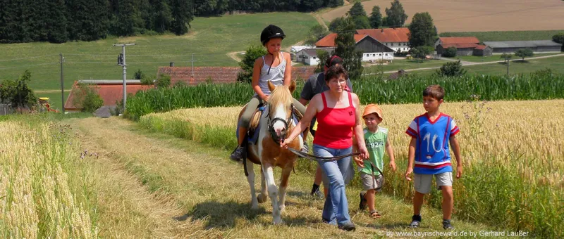 Bauernhof Urlaub mit Reiten + Pferde