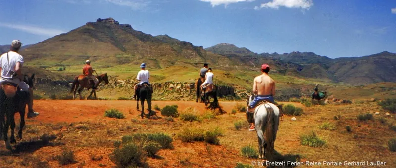 Südafrika Rundreise ab Johannesburg beste Safari-Lodges Tour
