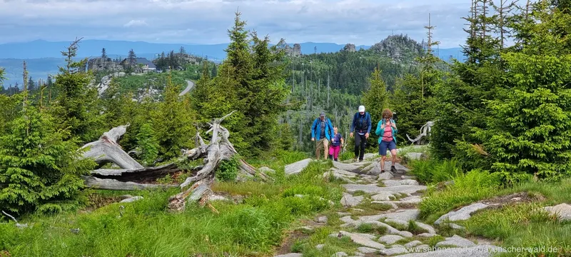 Snus auf Wandertouren, was im Bayerischen Wald zu beachten isthttps://www.sehenswerter-bayerischer-wald.de/wandertouren-was-im-bayerischen-wald-zu-beachten-ist/