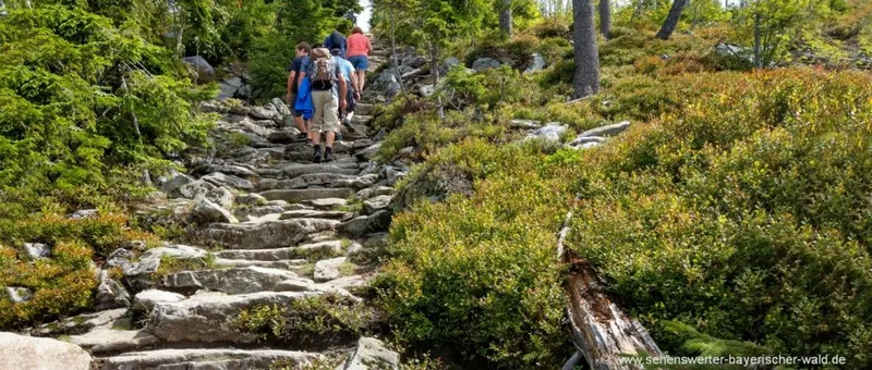 Radtour Neuschönau, Spiegelau, Sankt Oswald Riedlhütte, Guglöd, Waldhäuser