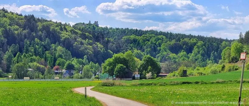 Burgruine Hohenburg Fotos Aussichtspunkt Lauterachtal Oberpfalz