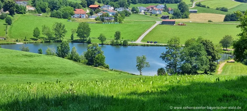Rundweg Ebenreuther See & Wackelstein Wandern Parkplatz Fotos Anfahrt