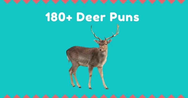 180+ Deer Puns (Cute, One Liners, Antler, Buck, Christmas, Etc.)