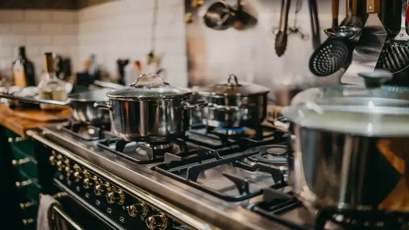 The Rising Kitchen Pest Problem: Why Modern Homes Are More Vulnerable Than Ever