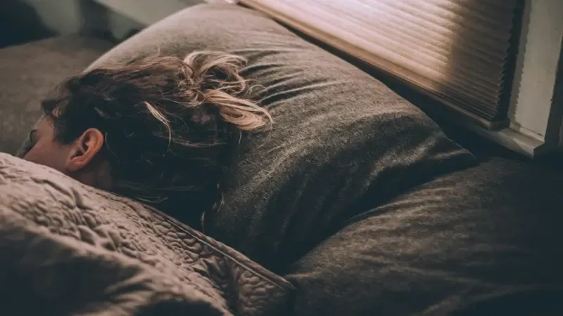 How Bedroom Pest Problems Destroy Sleep Quality (And What Actually Works)