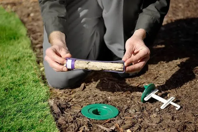 Termites Exterminator Cost: Treatment, Inspection, and Prevention Pricing