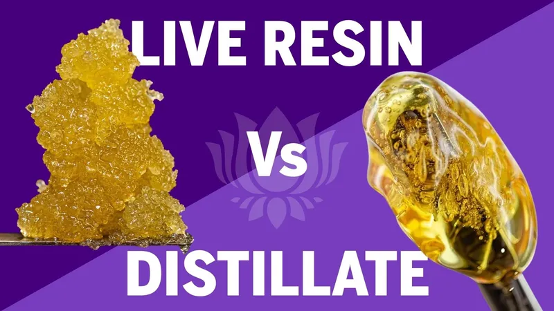 Live Resin vs. Distillate – Why the Right Device Setup Matters