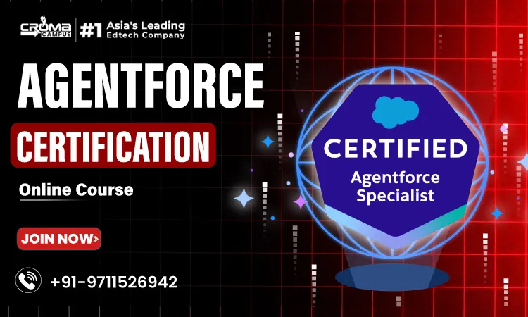 What are the Key Characteristics of Salesforce Careers?