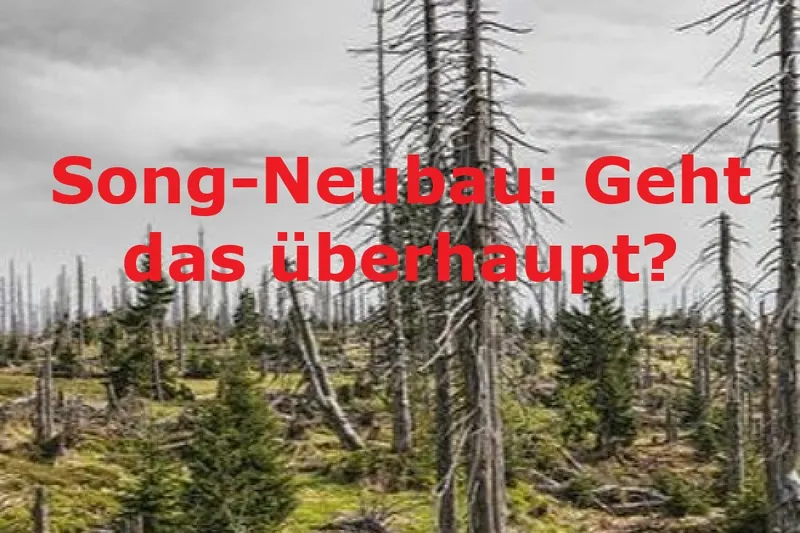 Song-Neubau: Geht das überhaupt?