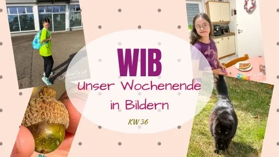 Das Zucchinidrama am WiB 5. + 6.9.2026
