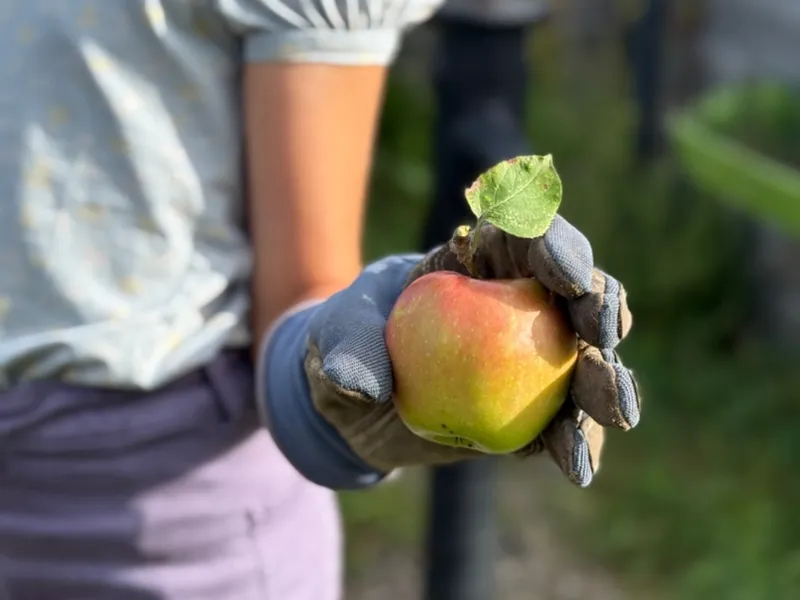 Milch & Mehr Wochenende in Bildern im September #kw36