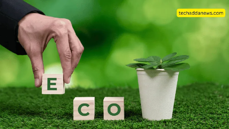 Spare Parts for a More Sustainable Home