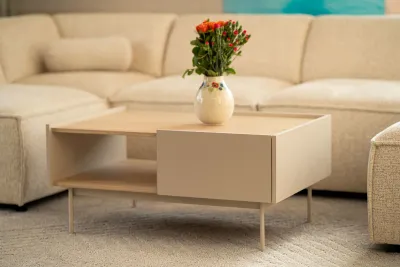 Showroom oder Online-Shop – was ist besser beim Möbelkauf?
