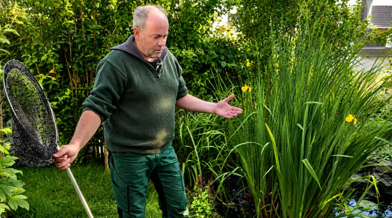 Teichpumpe reinigen: Schritt für Schritt richtig vorgehen