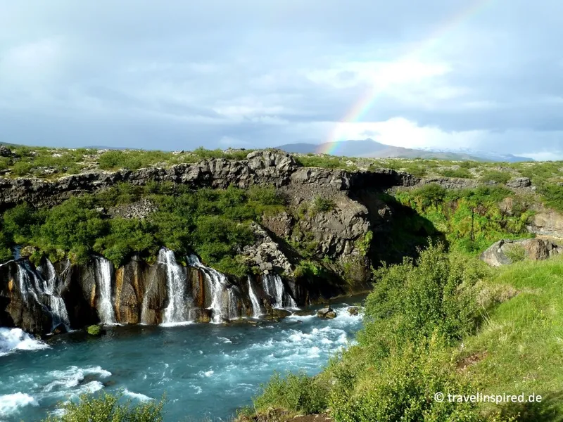 Island Highlights: Wale, Wasserfälle und Gletscher
