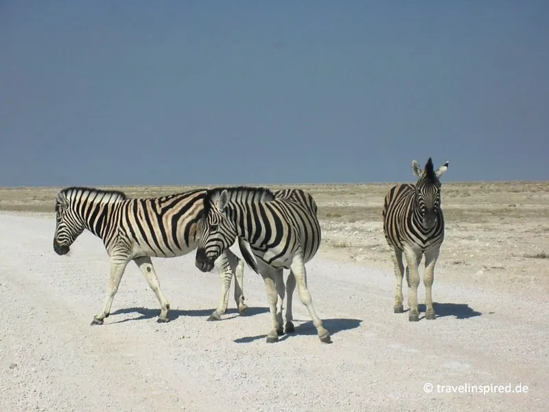 Namibia Roadtrip auf eigene Faust – Erfahrungsbericht