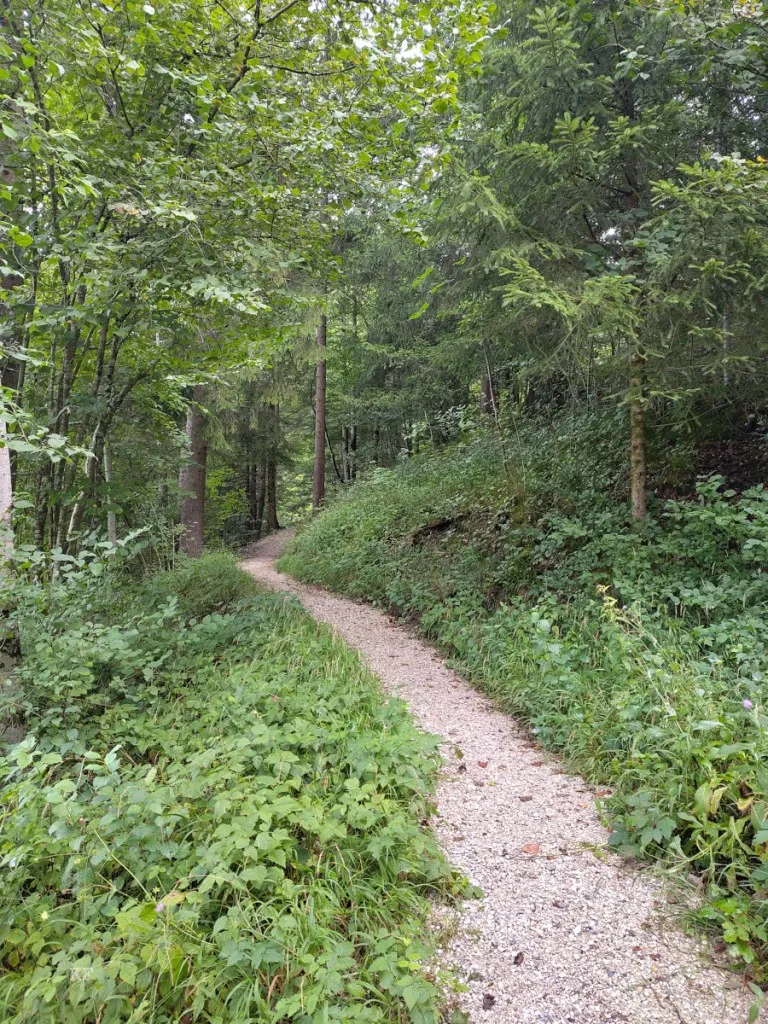 Wanderung durch die Asamklamm bis zu den Sieben Quellen