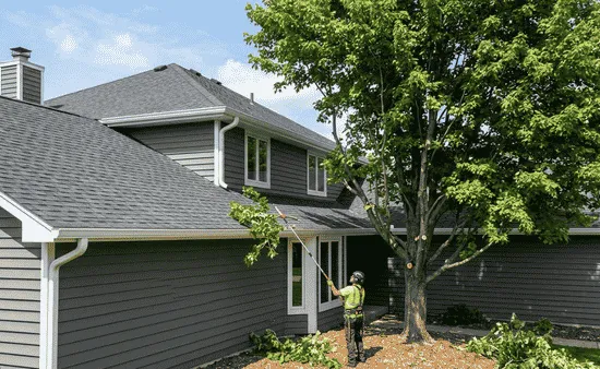 Protecting Outdoor Structures: How Safe Clearance Pruning Prevents Gutter and Roof Decay
