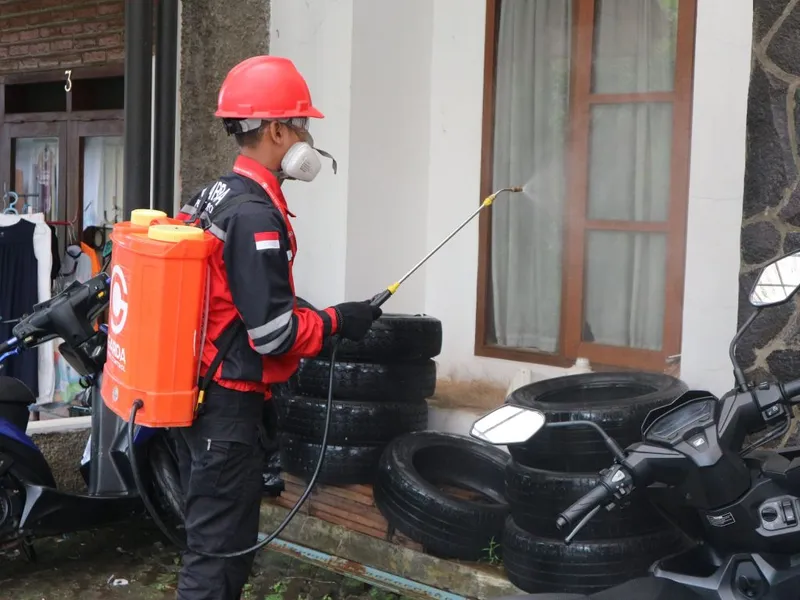 How a Pest Control Company Protects Your Home Season After Season