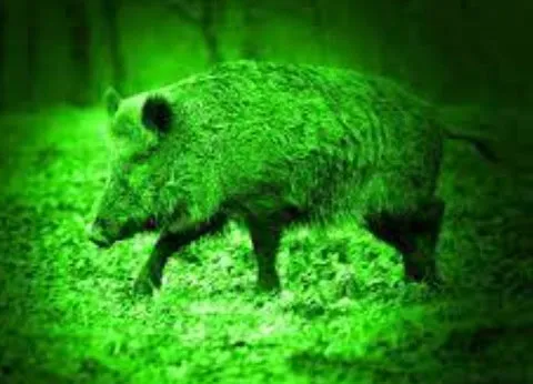 Von wegen Lodenjockel – die moderne Jagd mit Wärmebildtechnik