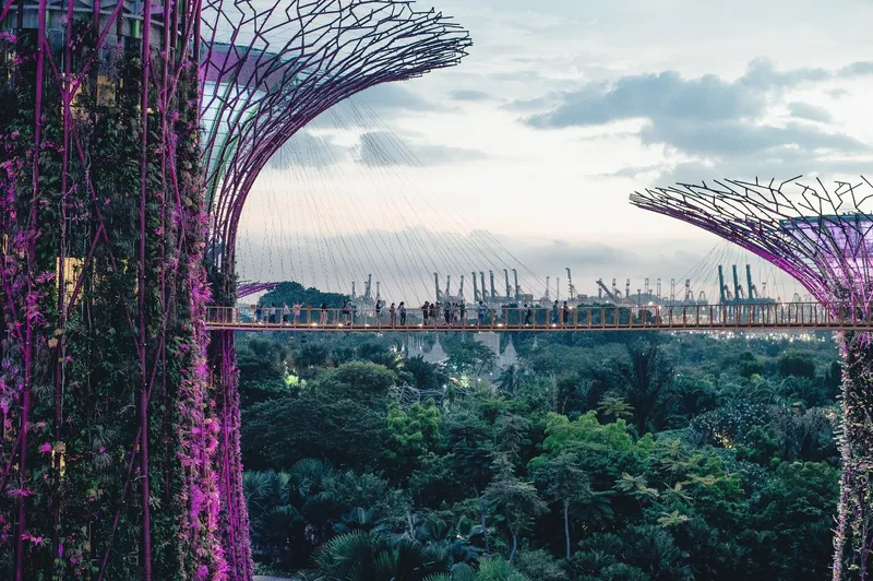 Singapore Investors Are Leaning on Brokerage AI Tools to Read Markets and Manage Portfolios
