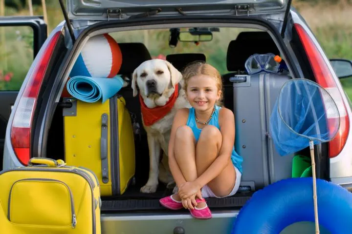 Reisen mit Hund: Welche Urlaubsformen dem Vierbeiner wirklich guttun