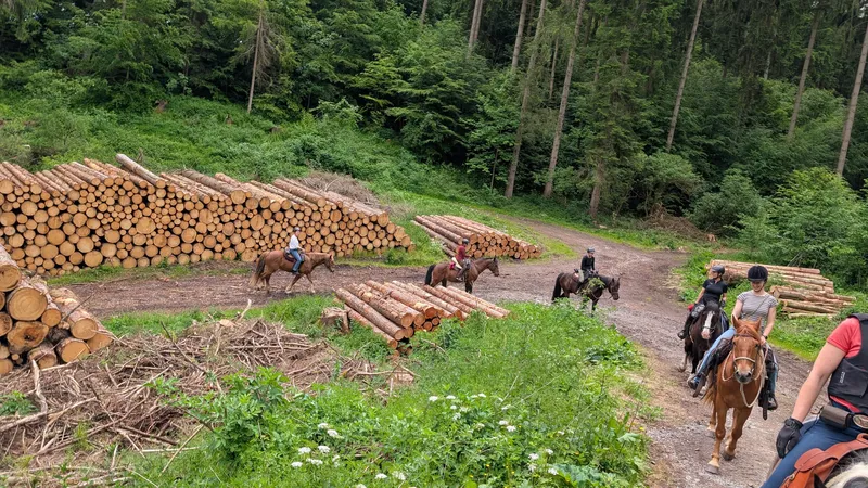 Sternritt zu Christi Himmelfahrt in der Rhön – Tag 2