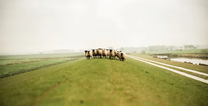 Von Weimar nach Ostfriesland: Urlaub in Ostfriesland mit Weitblick
