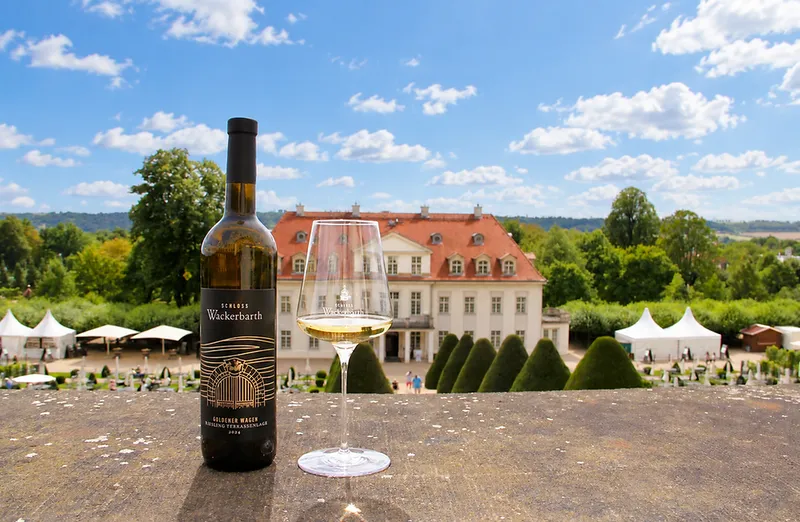 Radebeul: „Wein des Jahres“ kommt von Schloss Wackerbarth