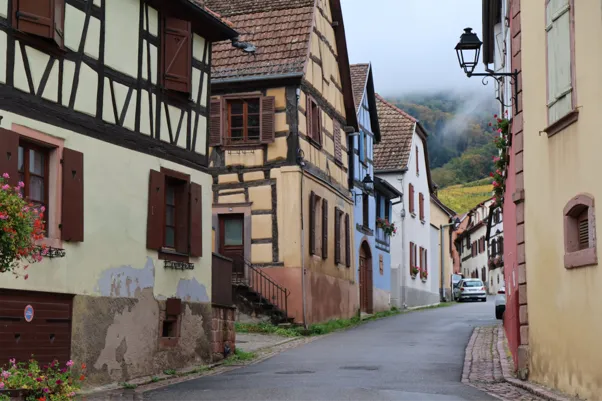 Tagesausflug ins Elsass: Warum Pfälzer beim Grenzübertritt aufs Handy achten sollten