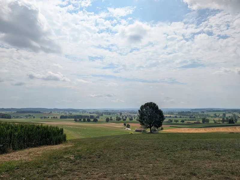 Aussichtspunkt Daxberg bei Erkheim: 613 Meter, Alpenblick und ein paar Kühe